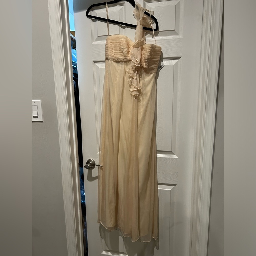 NWT AMSALE Bridesmaid Dress
Vanilla Nude 100% Silk Chiffon
Formal Gown SIZE 6